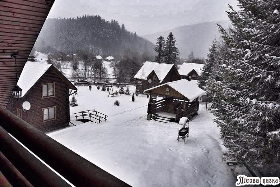 Lisova Kazka Hotel Zhdeniievo Exterior photo